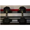 Image 1 : RUBBER HEX PAIR OF DUMBELLS 25LBS