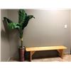 Image 1 : LOT WITH WOODEN BENCH AND ARTIFICIAL PLANT