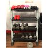 Image 1 : DUMBELL STACK INCLUDES WEIGHTS