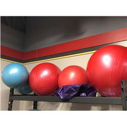 LOT OF 6 EXERCISE BALLS 3-RED 2-PURPLE NOT
