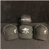 Image 1 : BALL CAP LOT