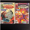 Image 1 : THE AMAZING SPIDER-MAN COMIC BOOK LOT #205/ #203 (MARVEL COMICS)