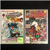 Image 1 : THE AMAZING SPIDER-MAN COMIC BOOK LOT #315/ #314 (MARVEL COMICS)