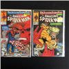 Image 1 : THE AMAZING SPIDER-MAN COMIC BOOK LOT #325/ #324 (MARVEL COMICS)