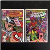 Image 1 : THE AMAZING SPIDER-MAN COMIC BOOK LOT #339/ #334 (MARVEL COMICS)
