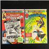 Image 1 : THE AMAZING SPIDER-MAN COMIC BOOK LOT #15/ #14 (MARVEL COMICS)