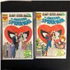 Image 1 : THE AMAZING SPIDER-MAN COMIC BOOK LOT #21/ #21 (MARVEL COMICS)