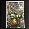 Image 1 : TEENAGE MUTANT NINJA TURTLES #1 (IDW)