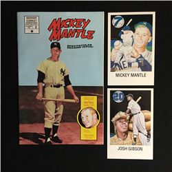 MICKEY MANTLE COLLECTIBLES LOT