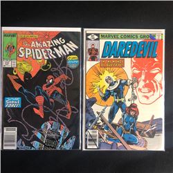 MARVEL COMICS BOOK LOT (THE AMAZING SPIDER-MAN #310/ DAREDEVIL #160)