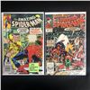 Image 1 : THE AMAZING SPIDER-MAN COMIC BOOK LOT #246/ #314 (MARVEL COMICS)