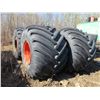 Image 1 : 12 HOLE RIM (66X43X25 TIRES) (PER TIRE TIMES 4)