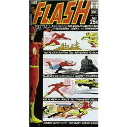 The Flash #191-240 Bound Volumes (DC, 1969-76). Why spe The Flash #191-240 Bound Volumes (DC, 1969-7