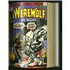 Werewolf by Night #1-35 Plus Bound Volumes (Marvel, 197 Werewolf by Night #1-35 Plus Bound Volumes (