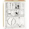 Don Martin - Mad #255 Complete 1-page Story Art Don Martin - Mad #255 Complete 1-page Story "One Fin