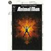 Brian Bolland - Animal Man #50 Cover Original Art (DC) Brian Bolland - Animal Man #50 Cover Original