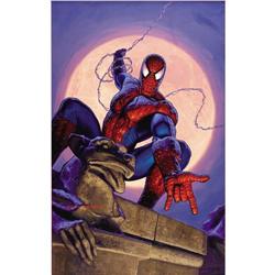 Greg Hildebrandt - Spider-Man Poster Original Art 1990 Greg Hildebrandt - Spider-Man Poster Original