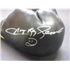 Image 2 : Sugar Ray Leonard Boxing Gloves- Signed Photo- Letter of Authenticity