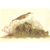 Image 1 : c1946 Audubon Print, #80 American Pipit