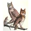 Image 1 : c1946 Audubon Print, #61 Great Horned Owl