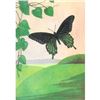 Image 1 : 1920's Blue Swallowtail Butterfly Color Lithograph Print