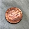 Image 2 : Lakota Commemorative Copper Bullion Coin