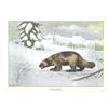 Image 2 : 1920's Wolverine Color Lithograph Print