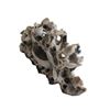 Image 6 : Chinese Soapstone Carving Bixi, Birds Trees
