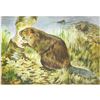 Image 1 : 1920's Prairie Dog Color Lithograph Print