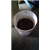69  Pail of Grain Bin Bolts