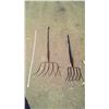 Image 1 : Two Five-Tine Forks