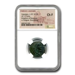Kingdom of Bosporus AE 12 Units As (14-28 AD) Ch Fine NGC