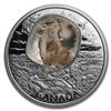 Image 1 : 2018 Canada 1 oz Silver $20 Frozen In Ice: Sabretooth Cat