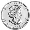 Image 2 : 2012 Canada 1 oz Platinum Maple Leaf BU