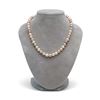 Image 2 : Multicolor Freshwater Pearl Necklace, 7.5-8.0mm