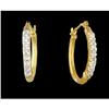 Image 1 : .25ct Diamond Dangling Hoop Earrings