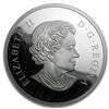 Image 2 : 2016 Canada 5 oz Proof Silver $50 Portrait of a Chief
