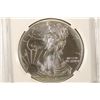 Image 1 : 2013 (W) AMERICAN SILVER EAGLE NGC MS69 STRUCK