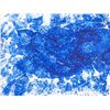 Image 1 : Yves Klein French Modernist Oil on Canvas