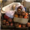 Image 1 : PALLET OF ASSORTED SOCCER BALLS