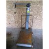 Image 1 : 6000 LB. PLATFORM SCALE