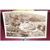 Image 1 : Antique Postcards of England and Ireland #891057