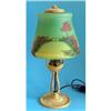 Image 1 : Aladdin Reverse Painted Satin Glass Table Lamp  #918542