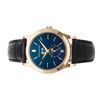 Image 2 : Patek Philippe Complications Watch