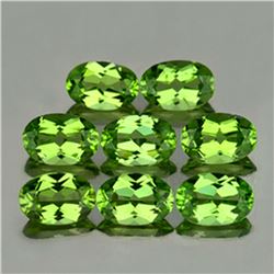 Natural AAA Green Peridot 8 Pcs{Flawless-VVS1}