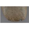 Image 8 : ANASAZI INDIAN STONE AXE HEAD