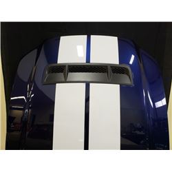 2010 SHELBY GT500 HOOD NO RESERVE