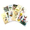 Image 1 : 1910-1940 Easter Greetings Postcard Collection. All but 2 postcards contain personal greetings, incl