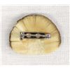 Image 3 : https://www.icollector.com/item.aspx?i=37221431Fossilized Walrus Ivory Scrimshaw Loon Brooch