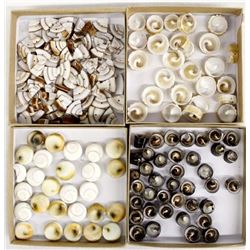 Collection of Shell Beads